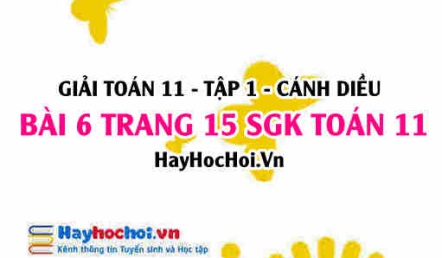 Giải bài 6 trang 15 Toán 11 tập 1 SGK Cánh Diều